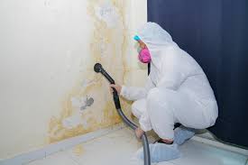 Mold Removal for HVAC Installations in Yellow Springs, OH